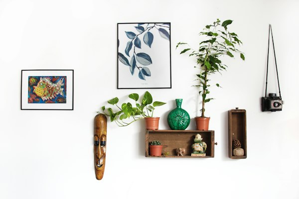 Decor & Accessories